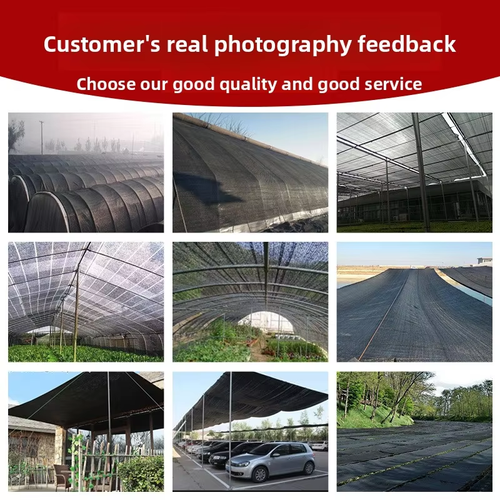 6 meters × 50 meters Shade netting for vegetable and fruit gardens: protects against birds, insects, sunburn, and hail. High-density black shade cloth—UV-resistant, durable, and suitable for home use, greenhouses, and agricultural applications.