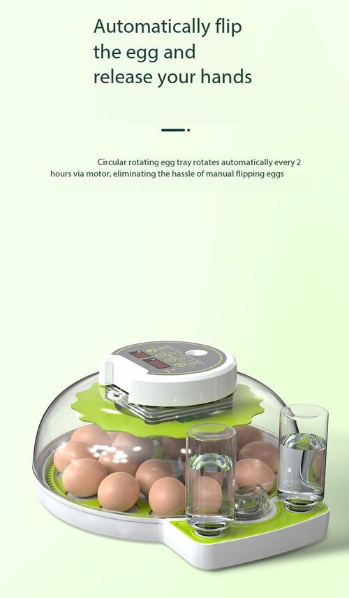 Agricultural Aid Automatic Egg Incubator Livestock Support Smart Hatcher for Chicken Duck Goose