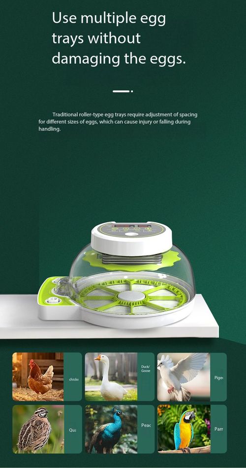 Agricultural Aid Automatic Egg Incubator Livestock Support Smart Hatcher for Chicken Duck Goose