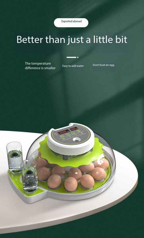 Agricultural Aid Automatic Egg Incubator Livestock Support Smart Hatcher for Chicken Duck Goose