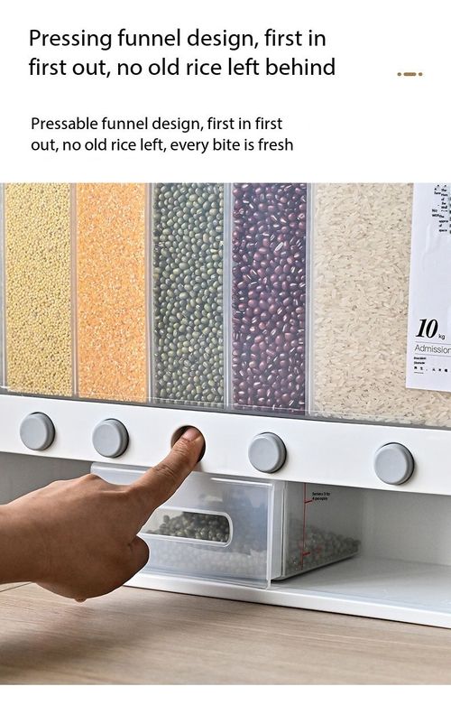 Multi-Compartment Grain Cereal Dispenser Sealed Storage Container