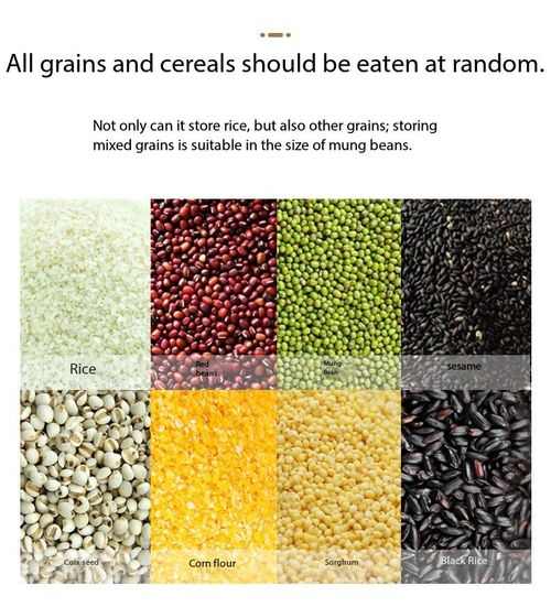 Multi-Compartment Grain Cereal Dispenser Sealed Storage Container