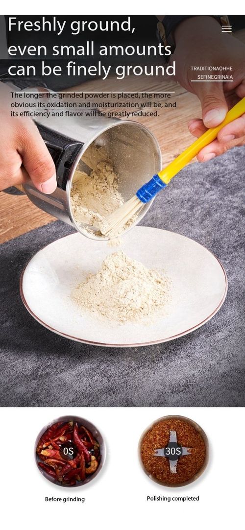 Electric Stainless Steel Spice & Grain Grinder