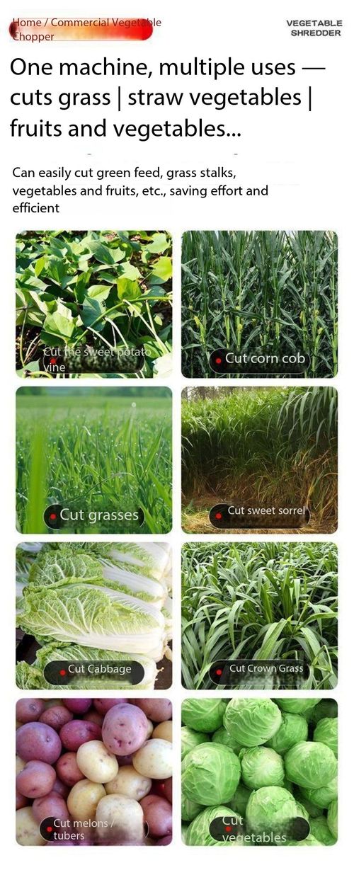 Heavy-Duty Multi-Purpose Bucket Type Vegetable & Green Forage Shredder