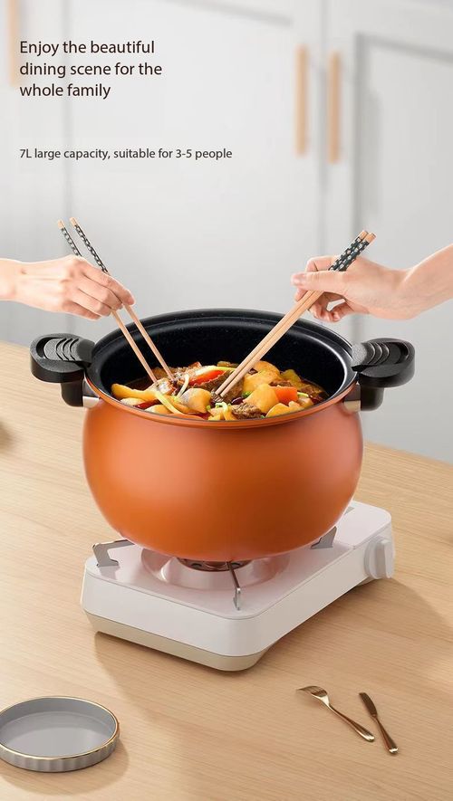 Multifunctional Micro Pressure Non-Stick Cooking Pot | Works on Gas & Induction Stove, Stew Boil Fry All-in-One Visible Glass Lid Cookware