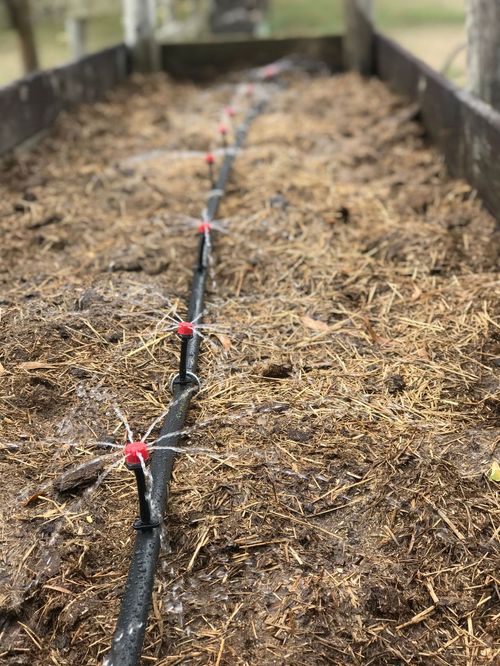 100‑Pack Adjustable 8‑Hole Drip Irrigation Sprinkler Nozzles