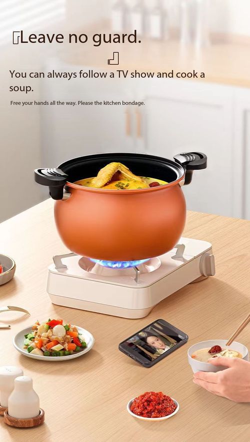Multifunctional Micro Pressure Non-Stick Cooking Pot | Works on Gas & Induction Stove, Stew Boil Fry All-in-One Visible Glass Lid Cookware