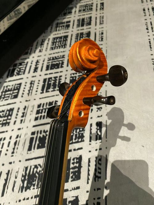 violin