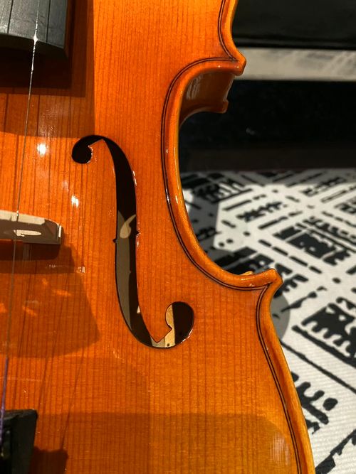 violin