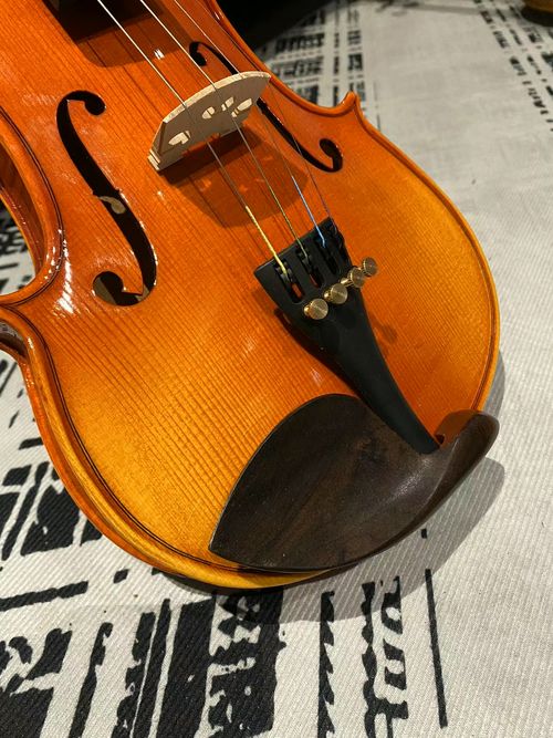 violin