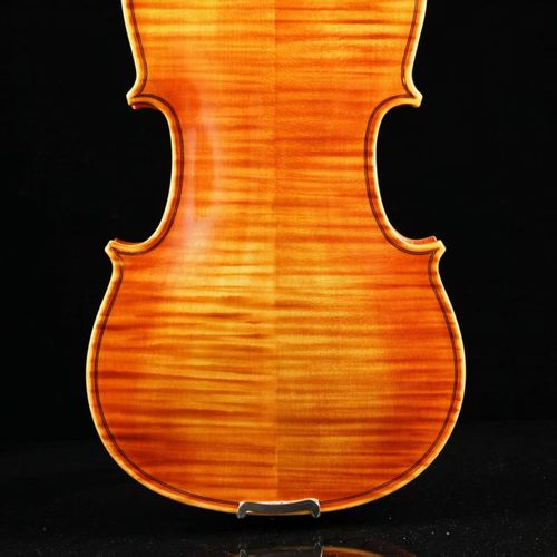 violin