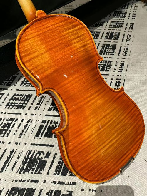 violin
