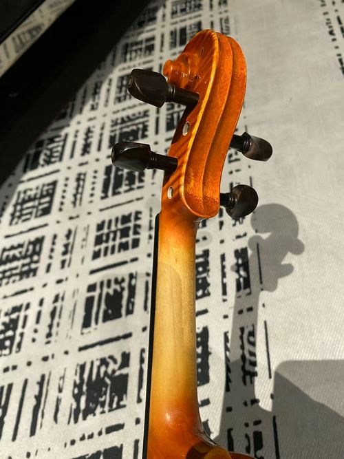 violin