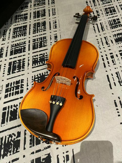 Collector's Edition Handcrafted Violin · The Soul Resonance of African Musicians