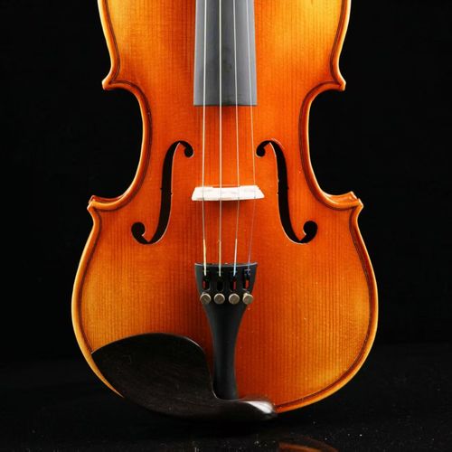 violin