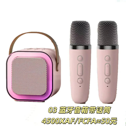 Revolutionary Sound Experience! Portable KTV Bluetooth Speaker + Dual Microphone Set, Take the Home Concert with You for Just 22300 XAF!