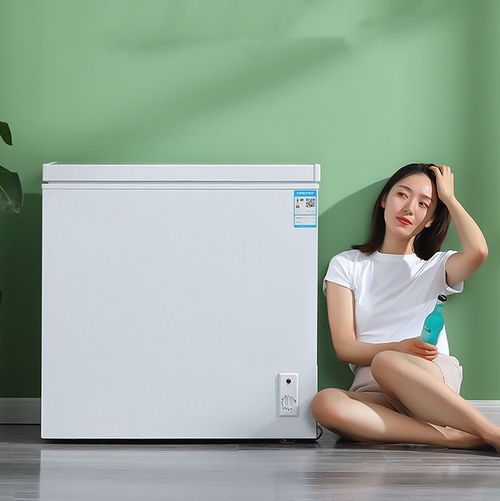 268lLarge-capacity Commercial Horizontal Freezer Refrigerator for Cold Storage and Freezing Meat Refrigeration