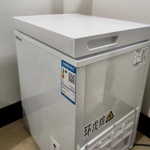 268lLarge-capacity Commercial Horizontal Freezer Refrigerator for Cold Storage and Freezing Meat Refrigeration