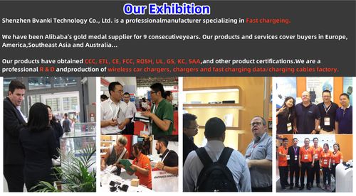 Mounted Household Fly Trap Mosquito Killer Suitable for Global Markets