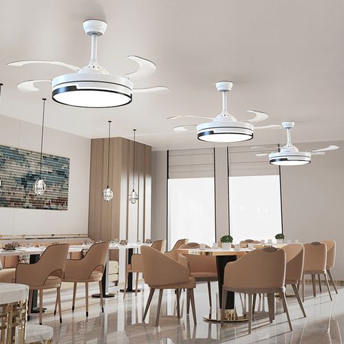 Fan Light