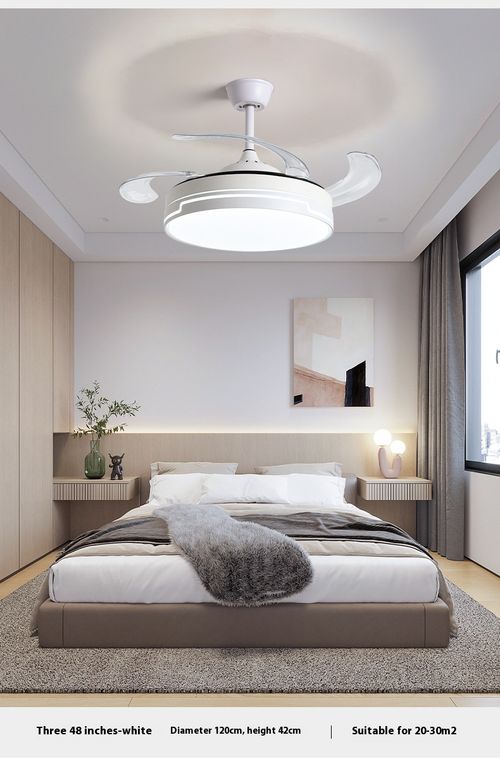 Fan Light
