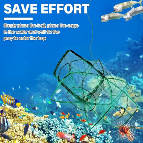 🌟The Magic Foldable Fishing Trap🌟