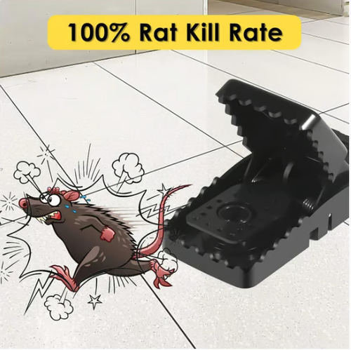✨ NEW Quick Effective Sanitary Safe Mouse Trap Catcher🔥（Four packs）🎁