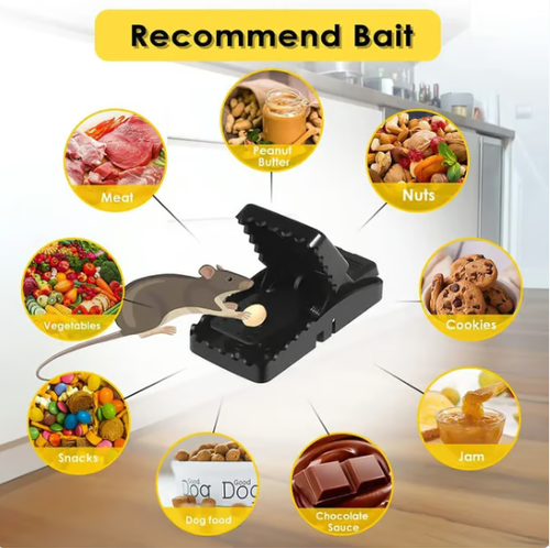 ✨ NEW Quick Effective Sanitary Safe Mouse Trap Catcher🔥（Four packs）🎁