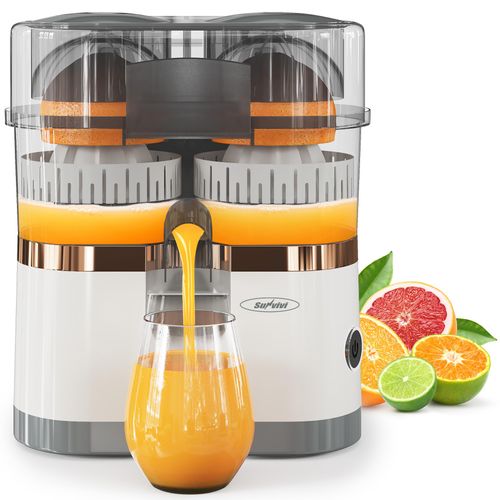 Multifunctional Fully Automatic Dual-Head Juicer