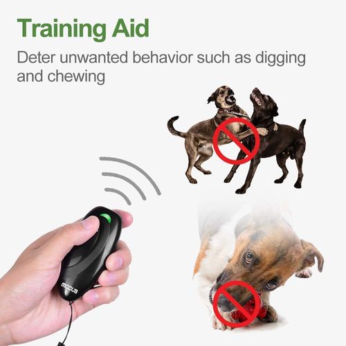 dog training device