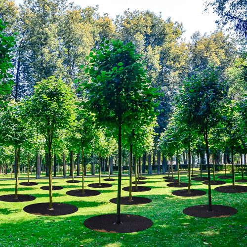 Black Reversible Mulch Ring Tree Protector Mat for Weed Grass Control Root Protection