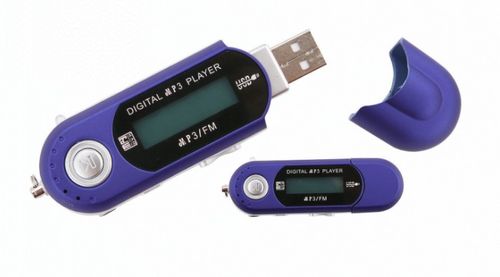 Digital MP3 Player with FM Radio USB Flash Drive Portable Audio WMA Sound Voice Recorder Recording LCD Screen