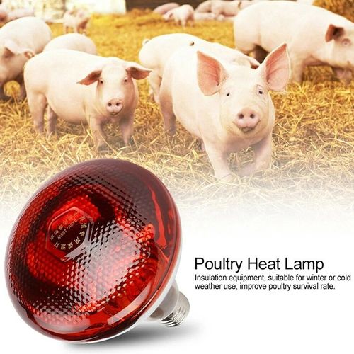 Thickened insulated lamp, breeding bulb, thickened waterproof and explosion-proof infrared breeding heating lamp, piglet heating lamp