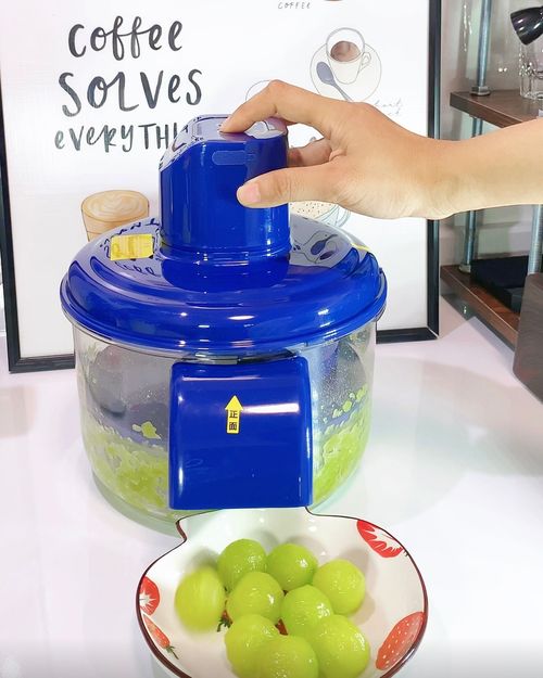 Small Automatic Kitchen Appliances Fruit & Vegetable Peeling Machine for Grapes Plums Tomatoes Garlic