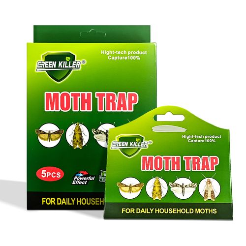 The silent destroyers in your closet: understanding clothes moths