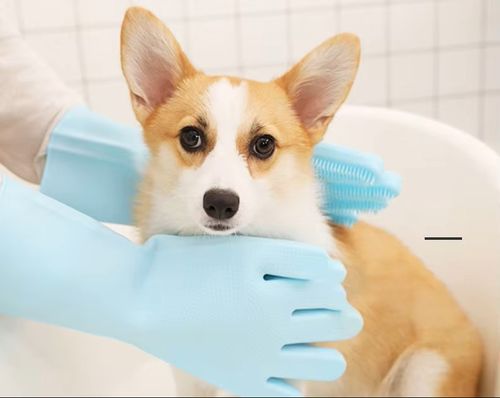 Magic Silicone Body Pet Bathing Gloves for Animal Perfect Bathe Shampoo Dog &Cat Brush Gloves