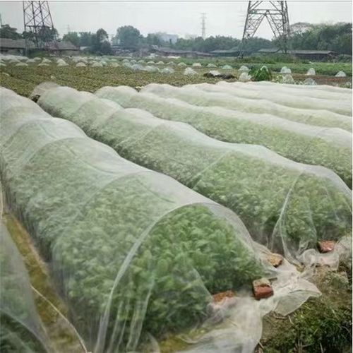 5 Years Lifespan White Agricultural Anti-insect Mesh HDPE Greenhouse Insect Net