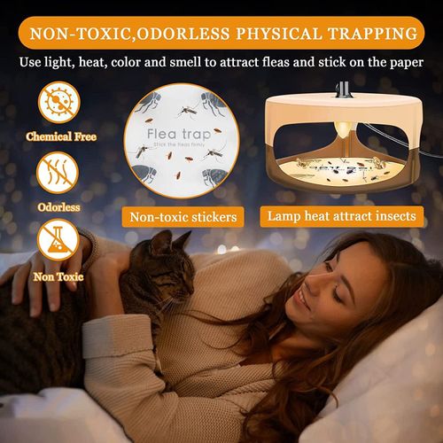 Home Safe Killer Lamp Sticky Flea Trap Fly Trap