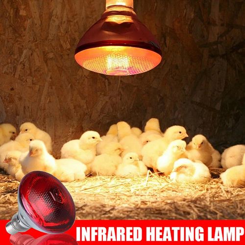 Thickened insulated lamp, breeding bulb, thickened waterproof and explosion-proof infrared breeding heating lamp, piglet heating lamp