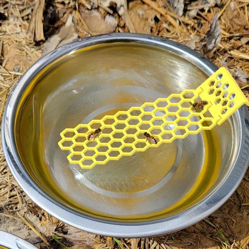Floating Bee Ladder, Bees, Insects, Drinking Water, Bees, Ladders, Insects, Floating Bees, Ladders