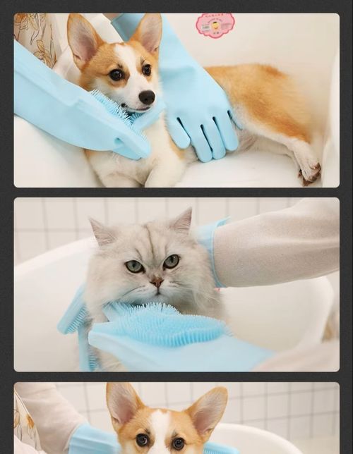 Magic Silicone Body Pet Bathing Gloves for Animal Perfect Bathe Shampoo Dog &Cat Brush Gloves