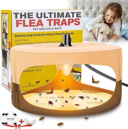 Home Safe Killer Lamp Sticky Flea Trap Fly Trap