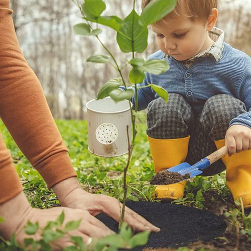 Black Reversible Mulch Ring Tree Protector Mat for Weed Grass Control Root Protection