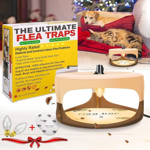 Home Safe Killer Lamp Sticky Flea Trap Fly Trap