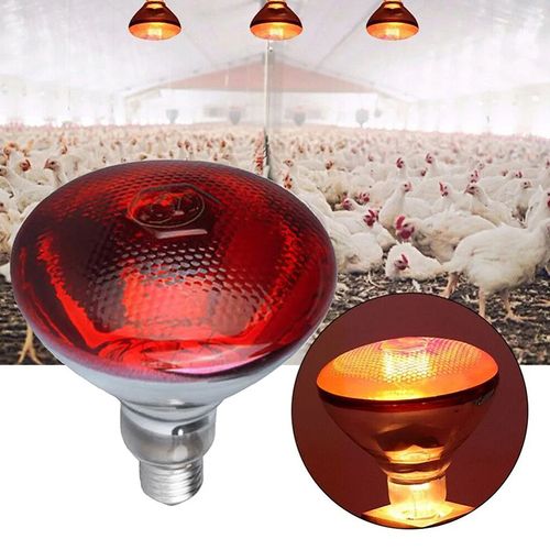 Thickened insulated lamp, breeding bulb, thickened waterproof and explosion-proof infrared breeding heating lamp, piglet heating lamp
