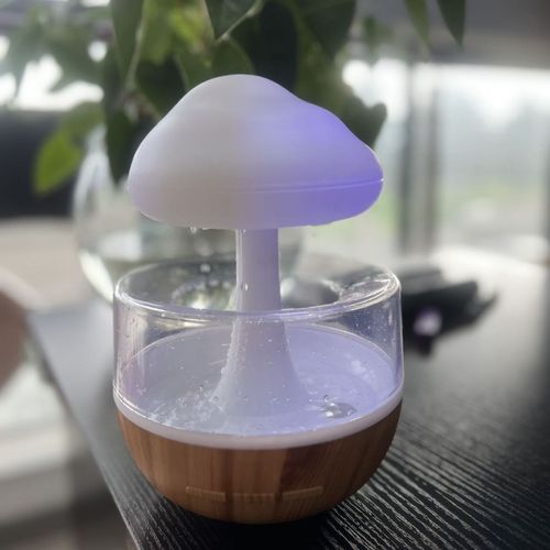White Noise Humidifier with Rainbow Mushroom Cloud Raindrops USB-Powered Aromatherapy Sleep Night Light for Home and Hotels