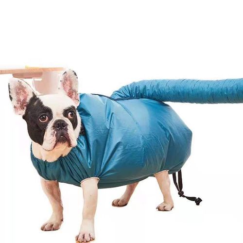 Pets Quick-Drying Hair Dryer Special Bathing Blow-Drying Box for Cats Dogs