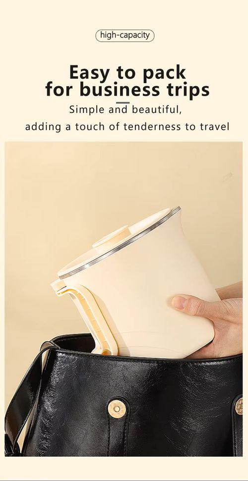 Multi-functional small rice cooker - boiling water, boiling eggs, boiling instant noodles, cooking hot pot, etc