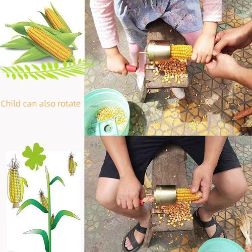 Efficient Farm Use Corn Husking Machine with Multifunctional Peeling and Shelling Capabilities
