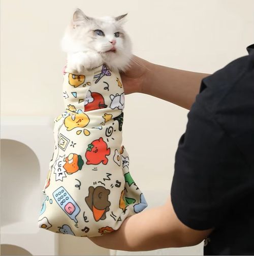 Pet package and cat fabric, multifunctional adhesive fabric, cute cat fixing cloth, used for cleaning and trimming nails, can be used for storing and carrying scattered items.